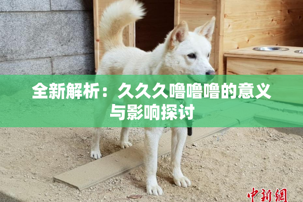 全新解析：久久久噜噜噜的意义与影响探讨