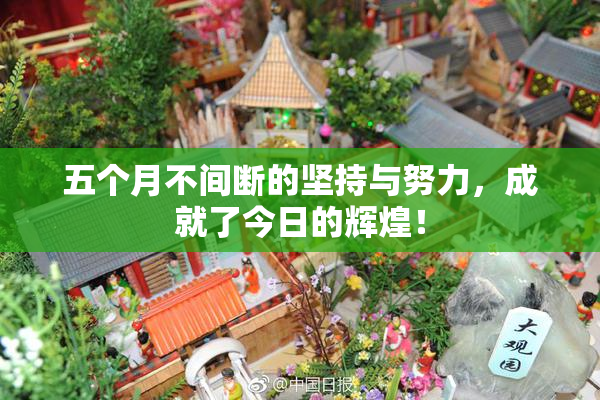五个月不间断的坚持与努力，成就了今日的辉煌！