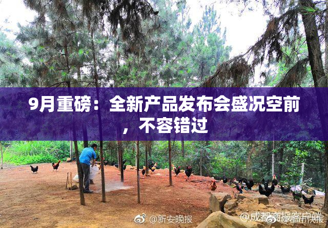 9月重磅：全新产品发布会盛况空前，不容错过