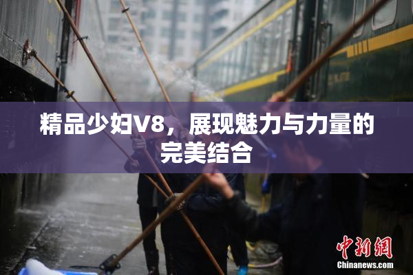 精品少妇V8，展现魅力与力量的完美结合