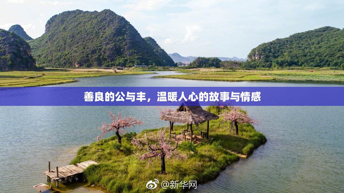 善良的公与丰，温暖人心的故事与情感