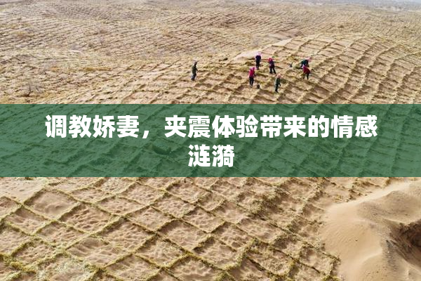 调教娇妻，夹震体验带来的情感涟漪