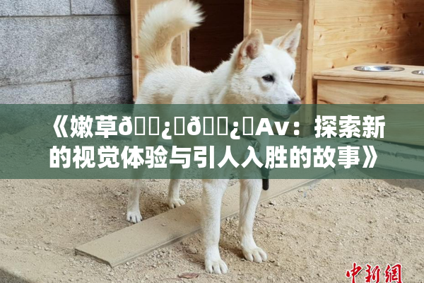 《嫩草🌿‌🌿‌Av：探索新的视觉体验与引人入胜的故事》