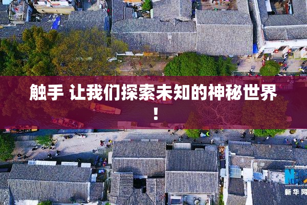 触手 让我们探索未知的神秘世界！