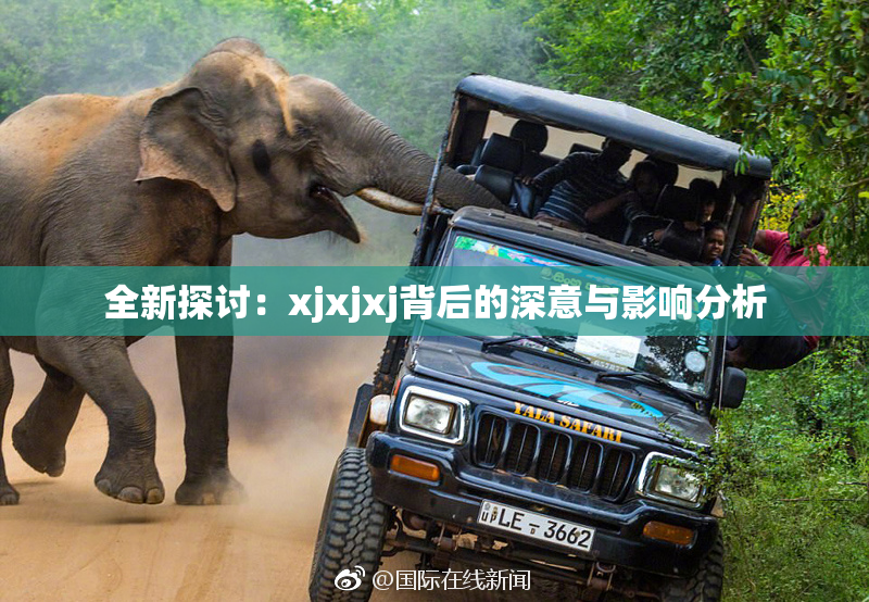 全新探讨：xjxjxj背后的深意与影响分析