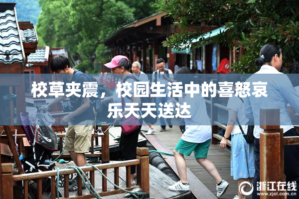 校草夹震，校园生活中的喜怒哀乐天天送达
