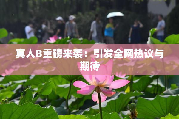 真人B重磅来袭：引发全网热议与期待