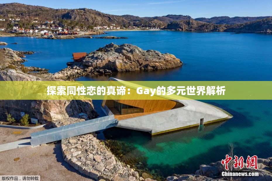 探索同性恋的真谛：Gay的多元世界解析