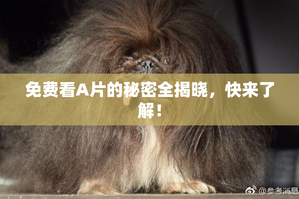 免费看A片的秘密全揭晓，快来了解！