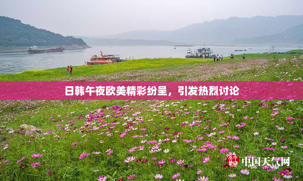 日韩午夜欧美精彩纷呈，引发热烈讨论