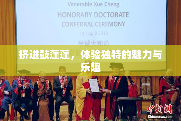 挤进鼓蓬蓬，体验独特的魅力与乐趣