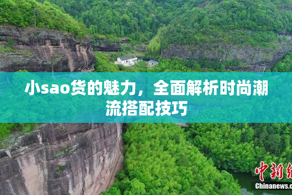 小sao货的魅力，全面解析时尚潮流搭配技巧