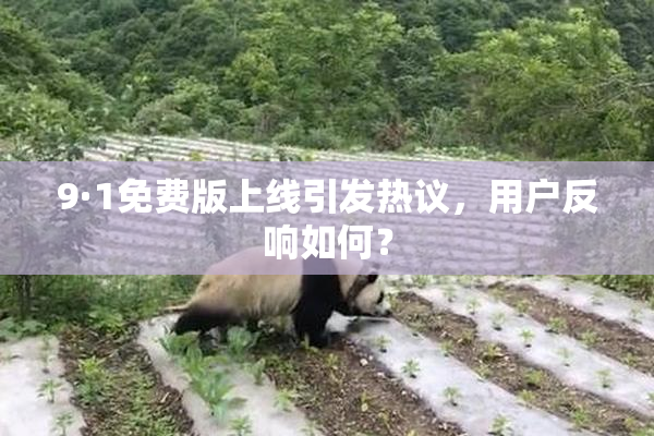 9·1免费版上线引发热议，用户反响如何？