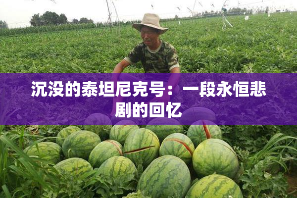 沉没的泰坦尼克号：一段永恒悲剧的回忆