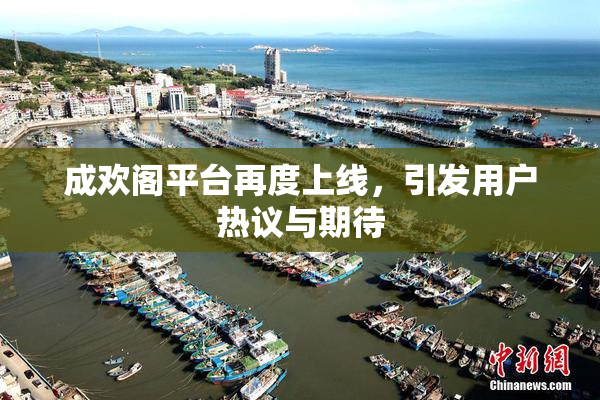 成欢阁平台再度上线，引发用户热议与期待