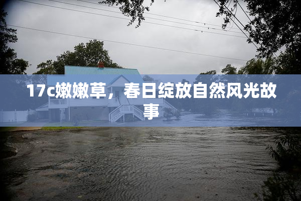 17c嫩嫩草，春日绽放自然风光故事