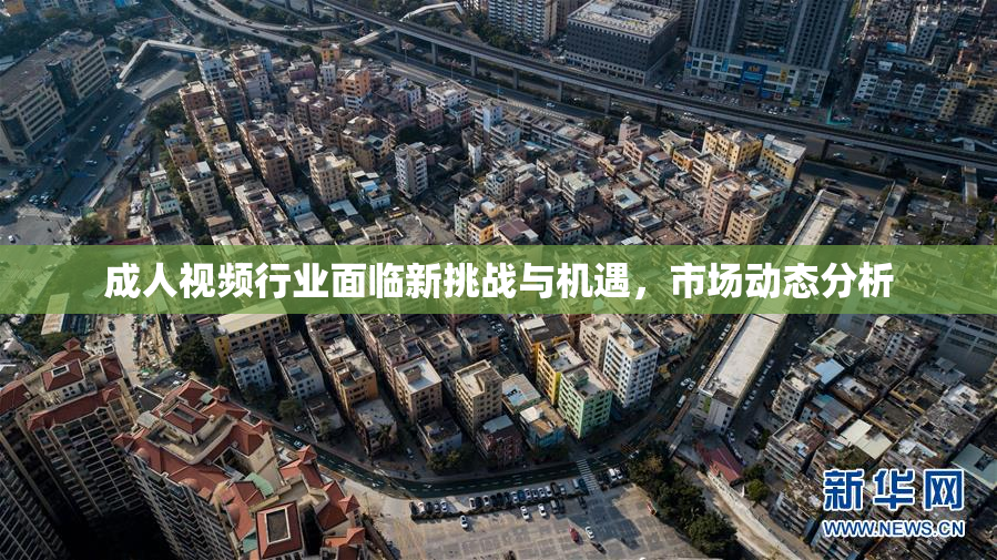 成人视频行业面临新挑战与机遇，市场动态分析