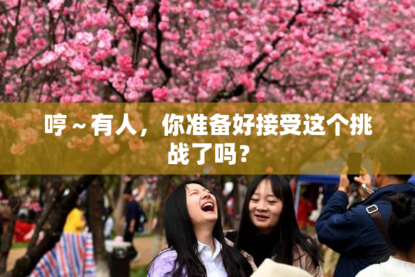 哼～有人，你准备好接受这个挑战了吗？