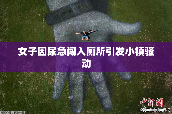 女子因尿急闯入厕所引发小镇骚动