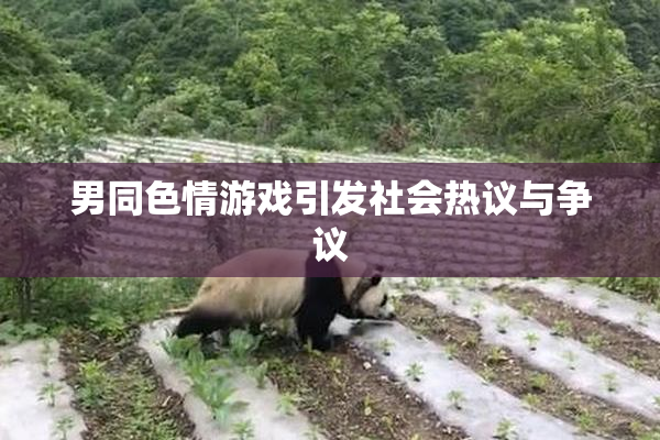 男同色情游戏引发社会热议与争议
