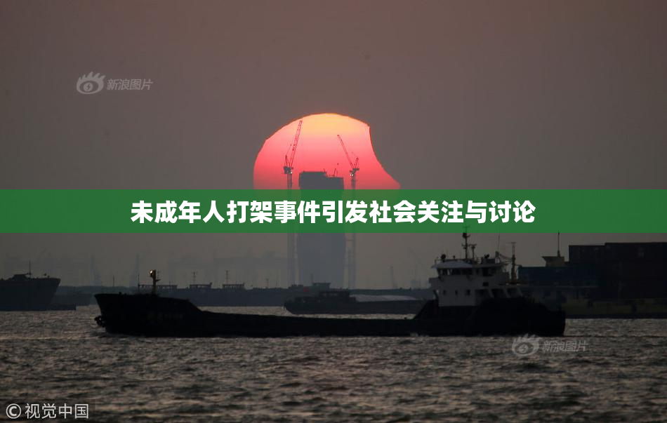 未成年人打架事件引发社会关注与讨论