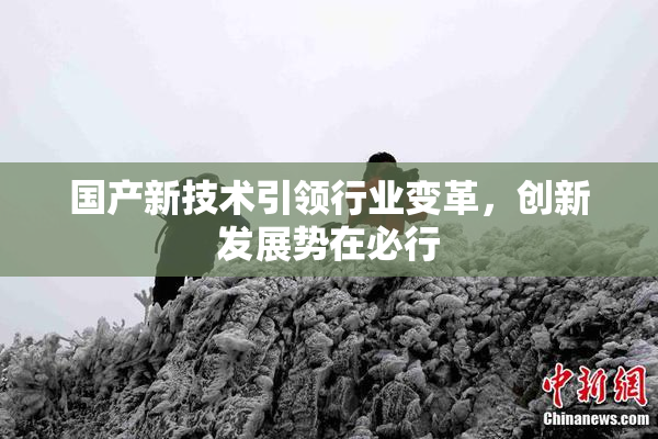 国产新技术引领行业变革，创新发展势在必行