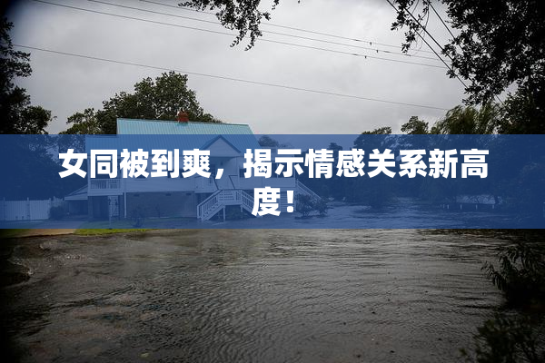 女同被到爽，揭示情感关系新高度！