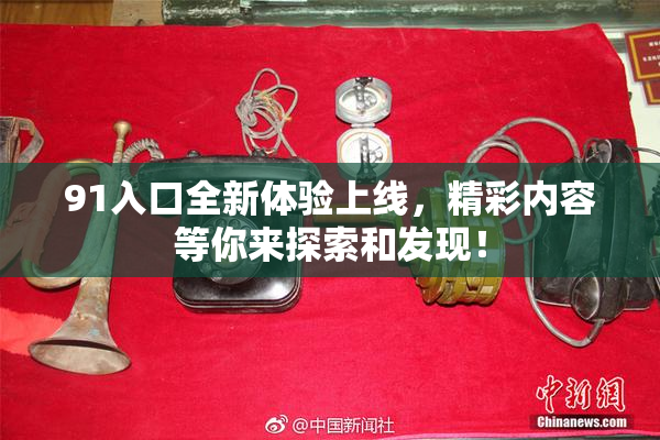 91入口全新体验上线，精彩内容等你来探索和发现！