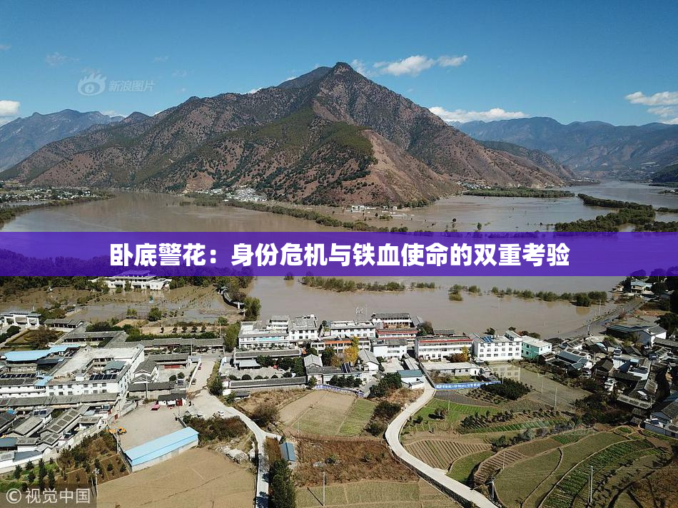卧底警花：身份危机与铁血使命的双重考验