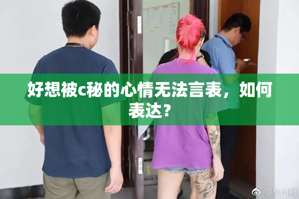 好想被c秘的心情无法言表，如何表达？