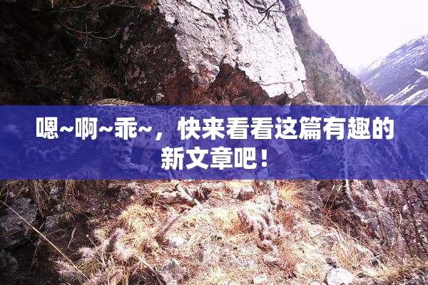 嗯~啊~乖~，快来看看这篇有趣的新文章吧！
