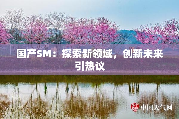 国产SM：探索新领域，创新未来引热议