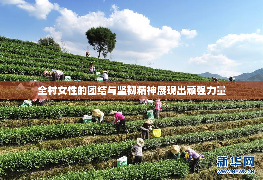 全村女性的团结与坚韧精神展现出顽强力量