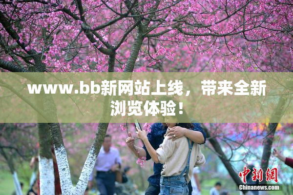 www.bb新网站上线，带来全新浏览体验！