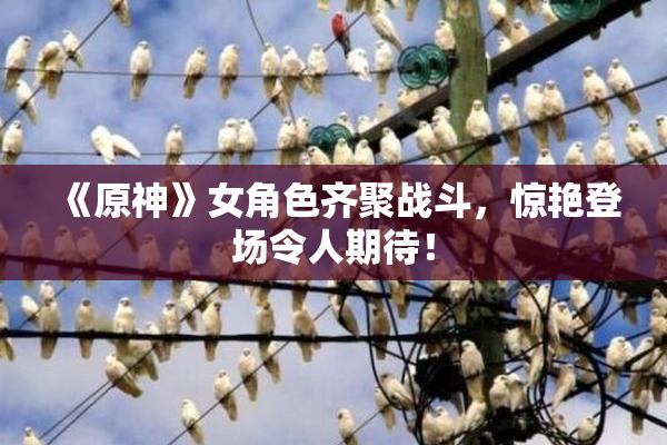 《原神》女角色齐聚战斗，惊艳登场令人期待！