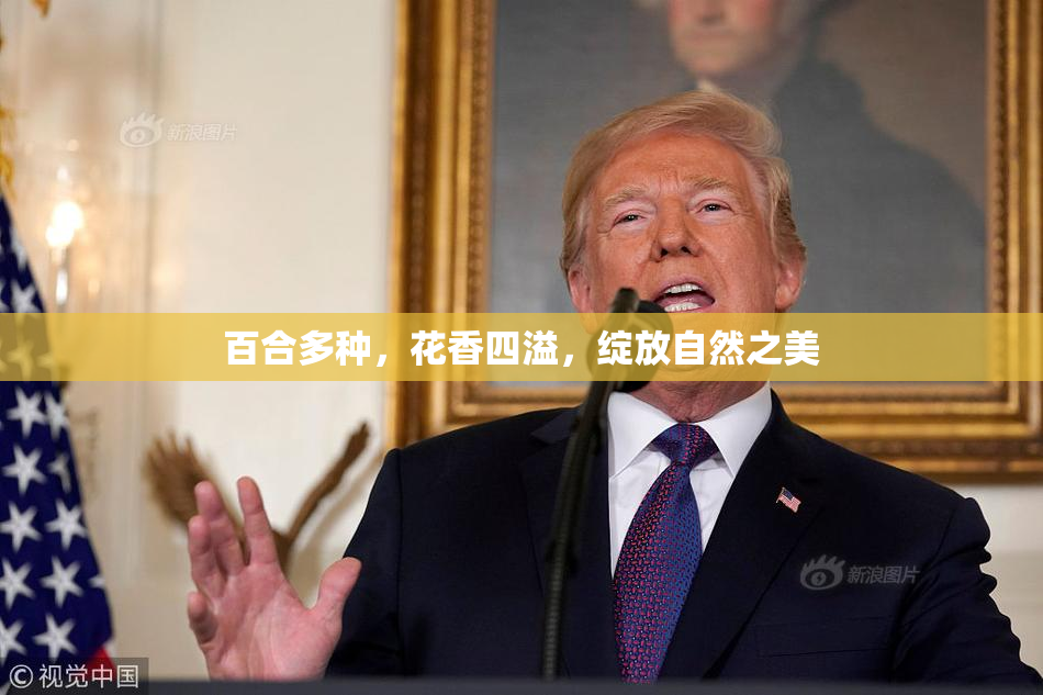 百合多种，花香四溢，绽放自然之美