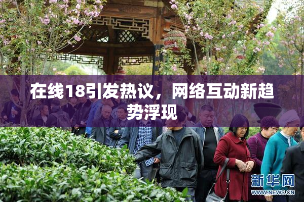 在线18引发热议，网络互动新趋势浮现