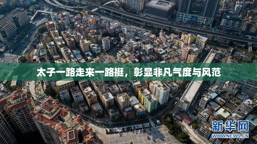 太子一路走来一路挺，彰显非凡气度与风范