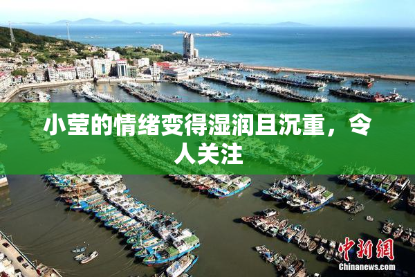 小莹的情绪变得湿润且沉重，令人关注
