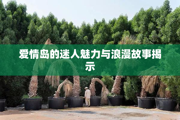 爱情岛的迷人魅力与浪漫故事揭示