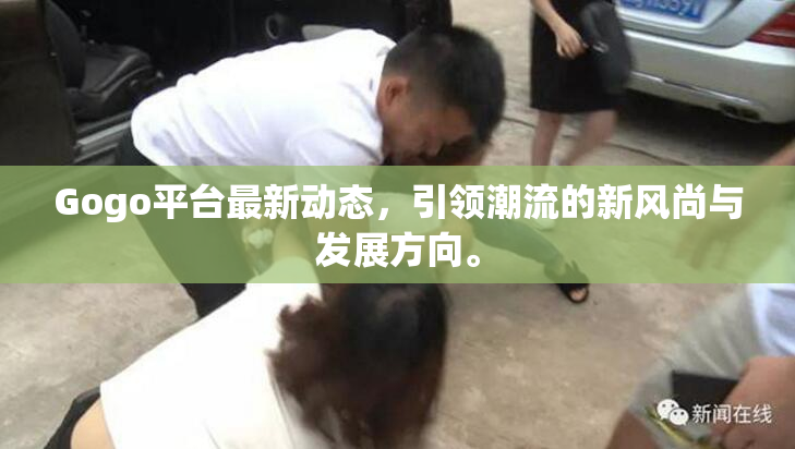 Gogo平台最新动态，引领潮流的新风尚与发展方向。