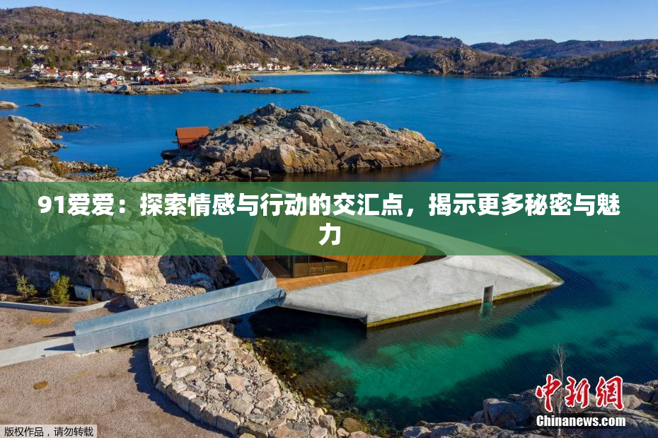 91爱爱：探索情感与行动的交汇点，揭示更多秘密与魅力