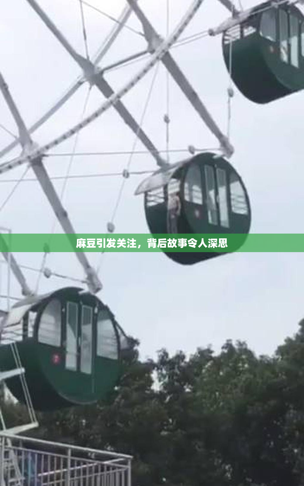 麻豆引发关注，背后故事令人深思