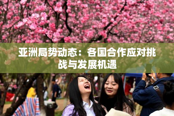 亚洲局势动态：各国合作应对挑战与发展机遇