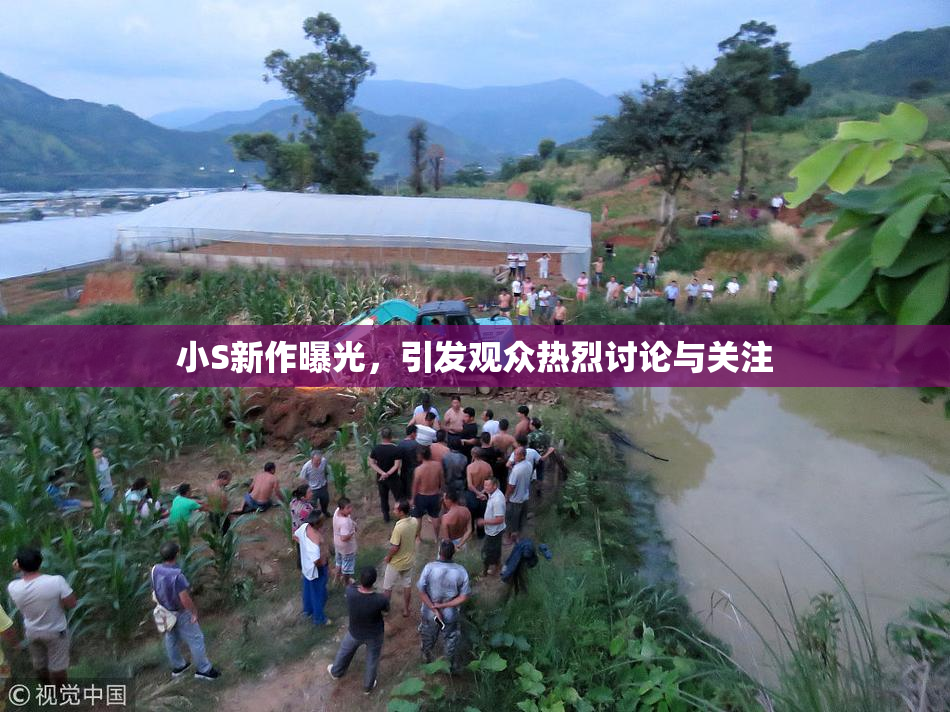 小S新作曝光，引发观众热烈讨论与关注