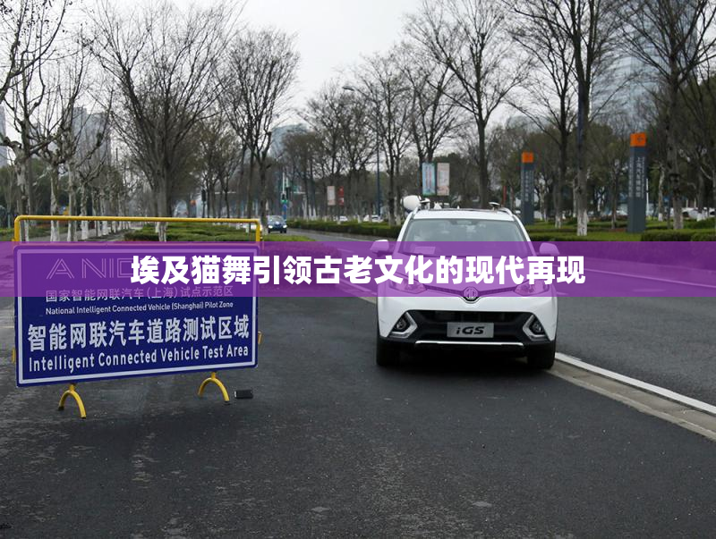 埃及猫舞引领古老文化的现代再现
