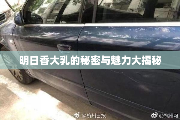 明日香大乳的秘密与魅力大揭秘