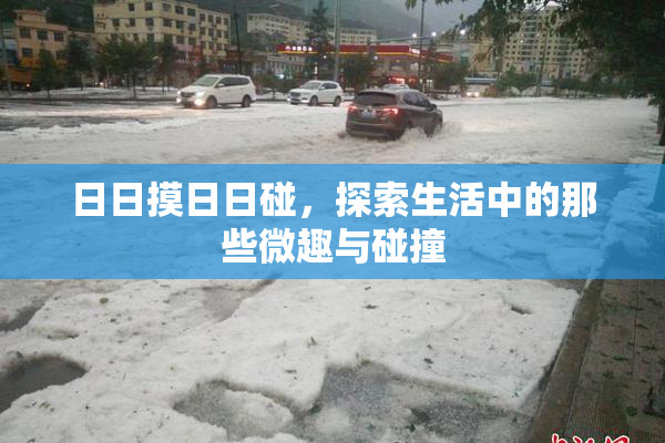 日日摸日日碰，探索生活中的那些微趣与碰撞