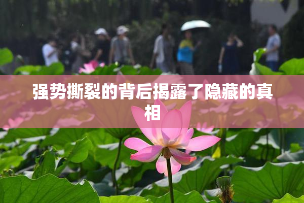 强势撕裂的背后揭露了隐藏的真相
