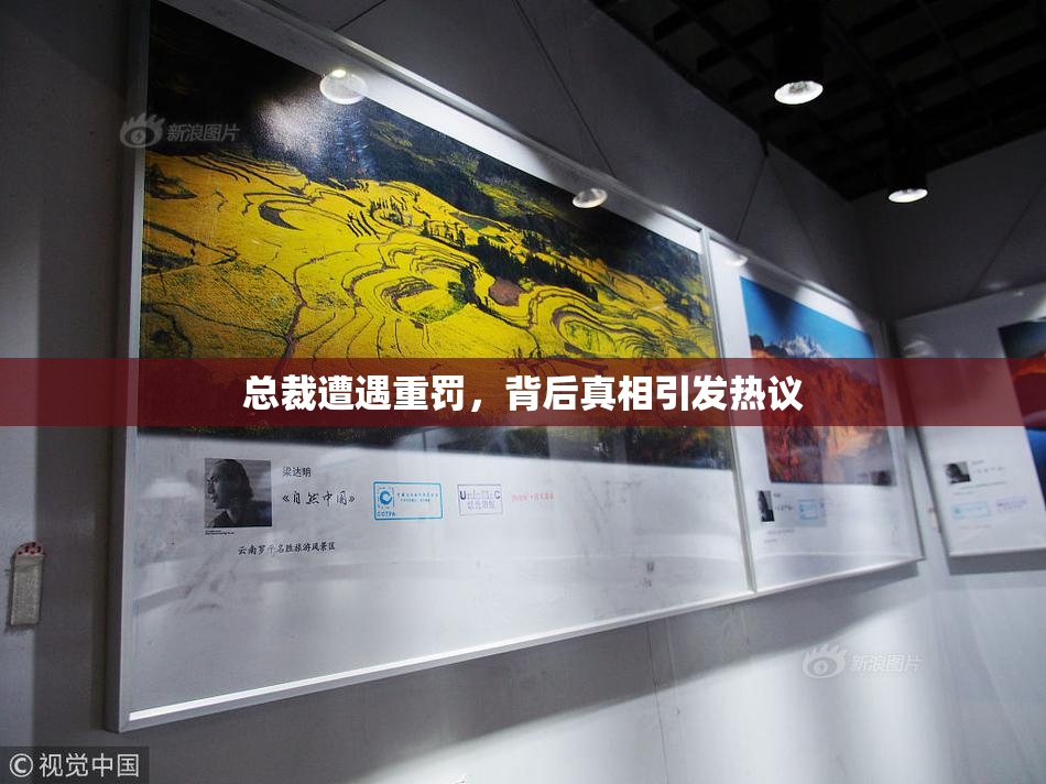 总裁遭遇重罚，背后真相引发热议